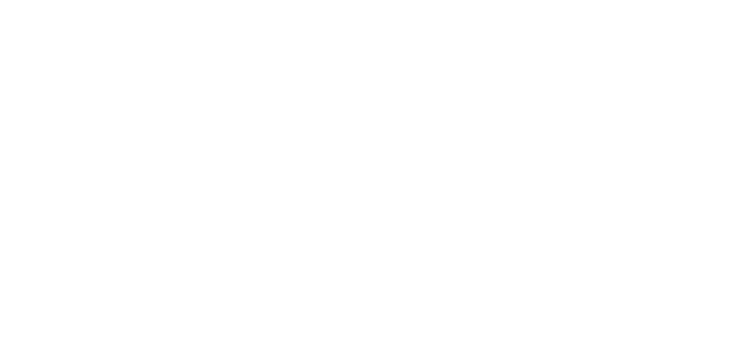 Wils Logo